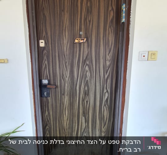 דלת עץ עם ציפוי דמוי עץ, ידית שחורה